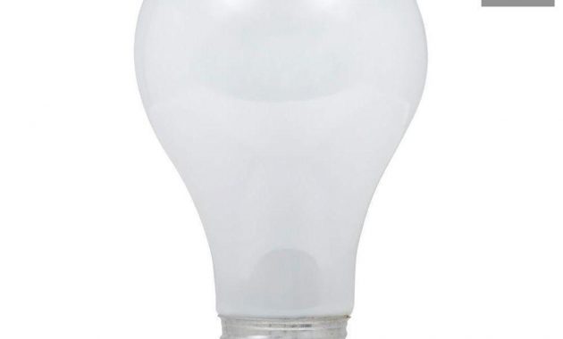 Ecosmart 75 Watt Equivalent A19 Dimmable Eco Incandescent Light Bulb regarding dimensions 1000 X 1000