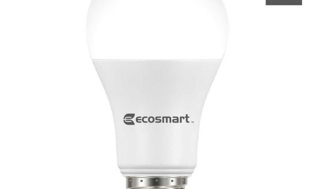 Ecosmart 75 Watt Equivalent A19 Dimmable Led Light Bulb Bright White in proportions 1000 X 1000