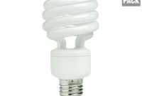 Ecosmart 75 Watt Equivalent Spiral Cfl Light Bulb Daylight 2 Pack regarding measurements 1000 X 1000