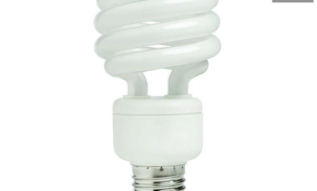 Ecosmart 75 Watt Equivalent Spiral Cfl Light Bulb Daylight 2 Pack regarding measurements 1000 X 1000