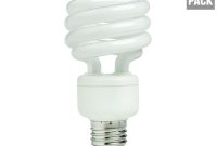 Ecosmart 75 Watt Equivalent Spiral Cfl Light Bulb Daylight 2 Pack throughout proportions 1000 X 1000