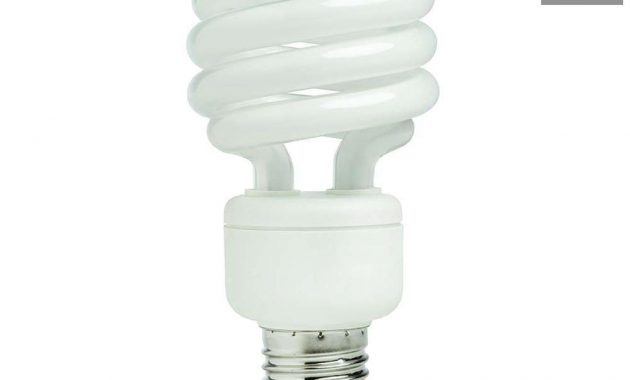 Ecosmart 75 Watt Equivalent Spiral Cfl Light Bulb Daylight 2 Pack throughout proportions 1000 X 1000