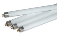 Eiko F54 Ho T5 4 Feet Replacement Bulb Review T5 Grow Light Fixtures with regard to dimensions 2253 X 1455