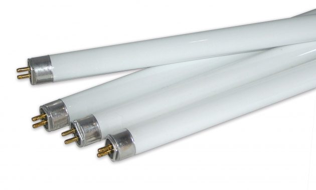 Eiko F54 Ho T5 4 Feet Replacement Bulb Review T5 Grow Light Fixtures with regard to dimensions 2253 X 1455