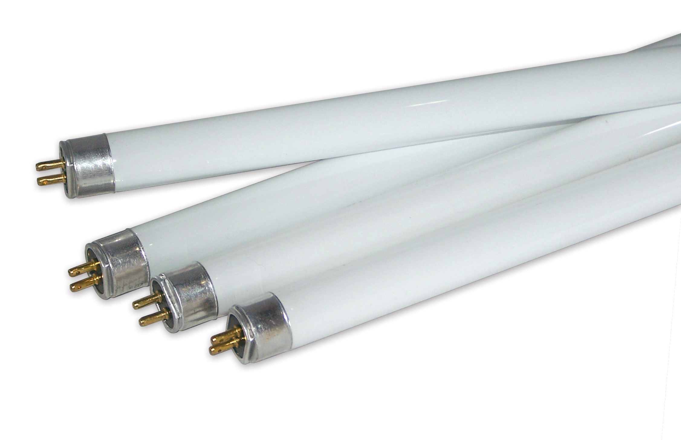 Eiko F54 Ho T5 4 Feet Replacement Bulb Review T5 Grow Light Fixtures with regard to dimensions 2253 X 1455