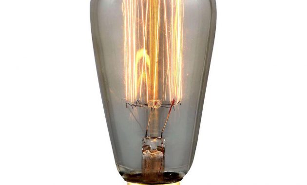 Elegant Lighting 40 W Incandescent E26 Vintage Edison Light Bulb E26 inside proportions 1000 X 1000