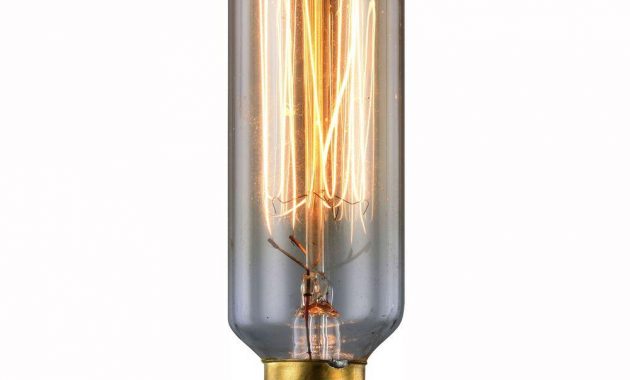 Elegant Lighting 40 Watt Incandescent E12 Vintage Edison Light Bulb in size 1000 X 1000