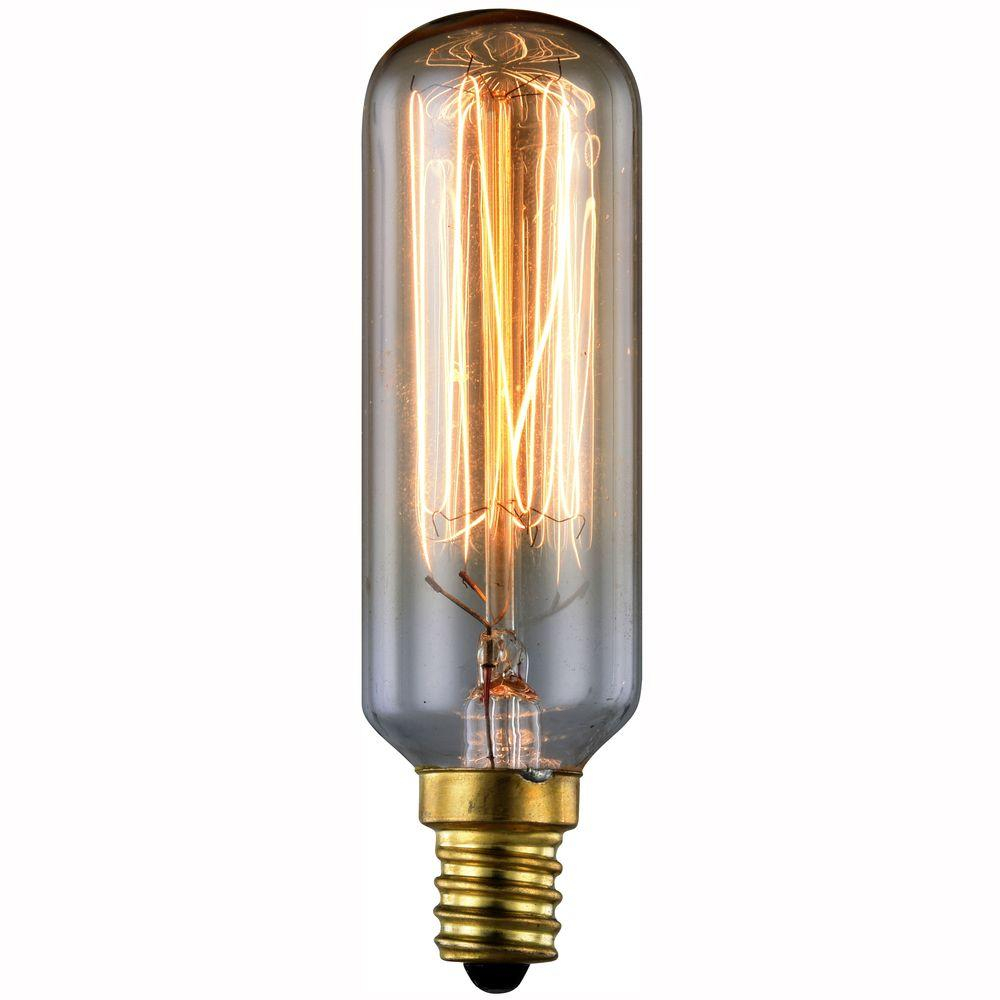 Elegant Lighting 40 Watt Incandescent E12 Vintage Edison Light Bulb with regard to size 1000 X 1000