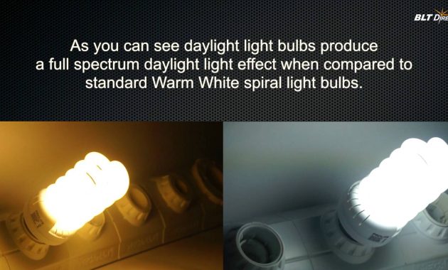 Energy Saving Spiral Colour Temperature Comparisons Warm White V inside dimensions 1920 X 1080