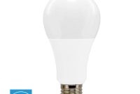 Euri Lighting 100w Equivalent Cool White 5000k A21 Dimmable Led throughout measurements 1000 X 1000