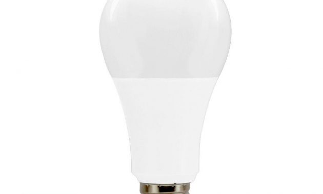 Euri Lighting 100w Equivalent Cool White 5000k A21 Dimmable Led throughout measurements 1000 X 1000