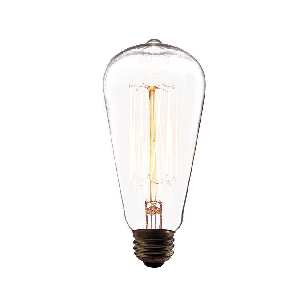 Eurofase 60 Watt Incandescent A19 A Line Light Bulb Retro Collection for sizing 1000 X 1000