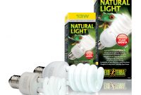 Exo Terra Natural Light Full Spectrum Daylight Bulb in size 2856 X 2803