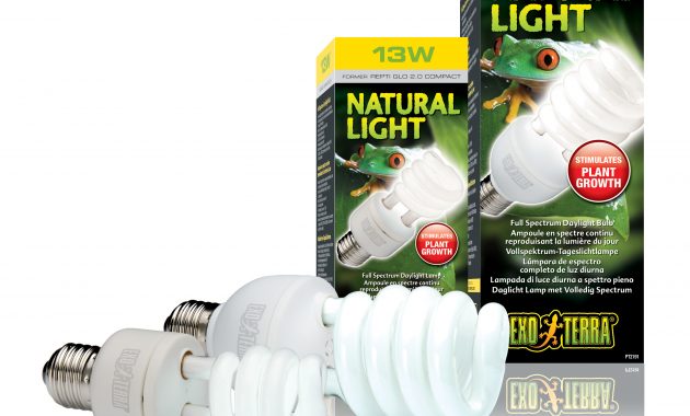 Exo Terra Natural Light Full Spectrum Daylight Bulb in size 2856 X 2803