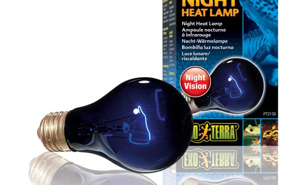 Exo Terra Night Heat Lamp 75 Watt Joshs Frogs inside measurements 1772 X 1733