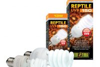 Exo Terra Repti Glo 100 Compact Lamp Swell Reptiles inside proportions 1024 X 911