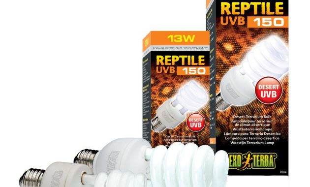 Exo Terra Repti Glo 100 Compact Lamp Swell Reptiles inside proportions 1024 X 911