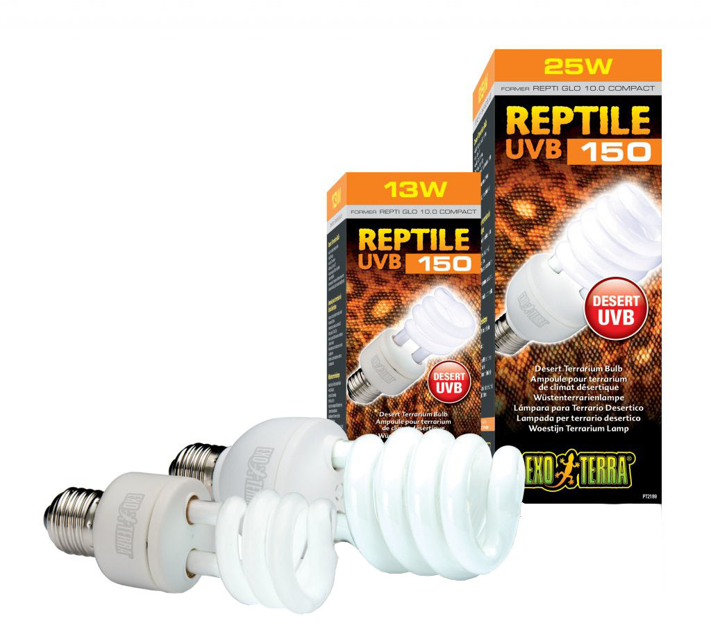 Exo Terra Repti Glo 100 Compact Lamp Swell Reptiles inside proportions 1024 X 911