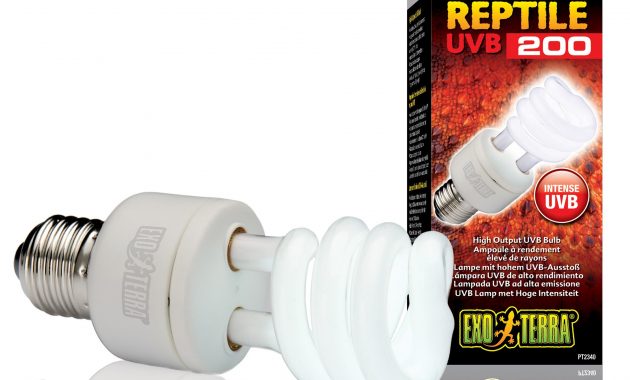 Exo Terra Reptile Uvb200 Light Bulb Petbarn within proportions 1984 X 1984