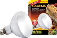 Exo Terra Solar Glo All In One Reptile Lamp 125 W Bulb Chewy intended for sizing 1500 X 972