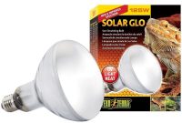 Exo Terra Solar Glo Reptile Heat Lamp Uva Uvb Light All In 1 Bulb in dimensions 1000 X 1000