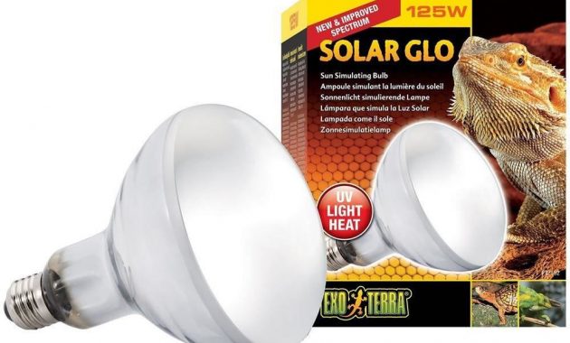 Exo Terra Solar Glo Reptile Heat Lamp Uva Uvb Light All In 1 Bulb in dimensions 1000 X 1000