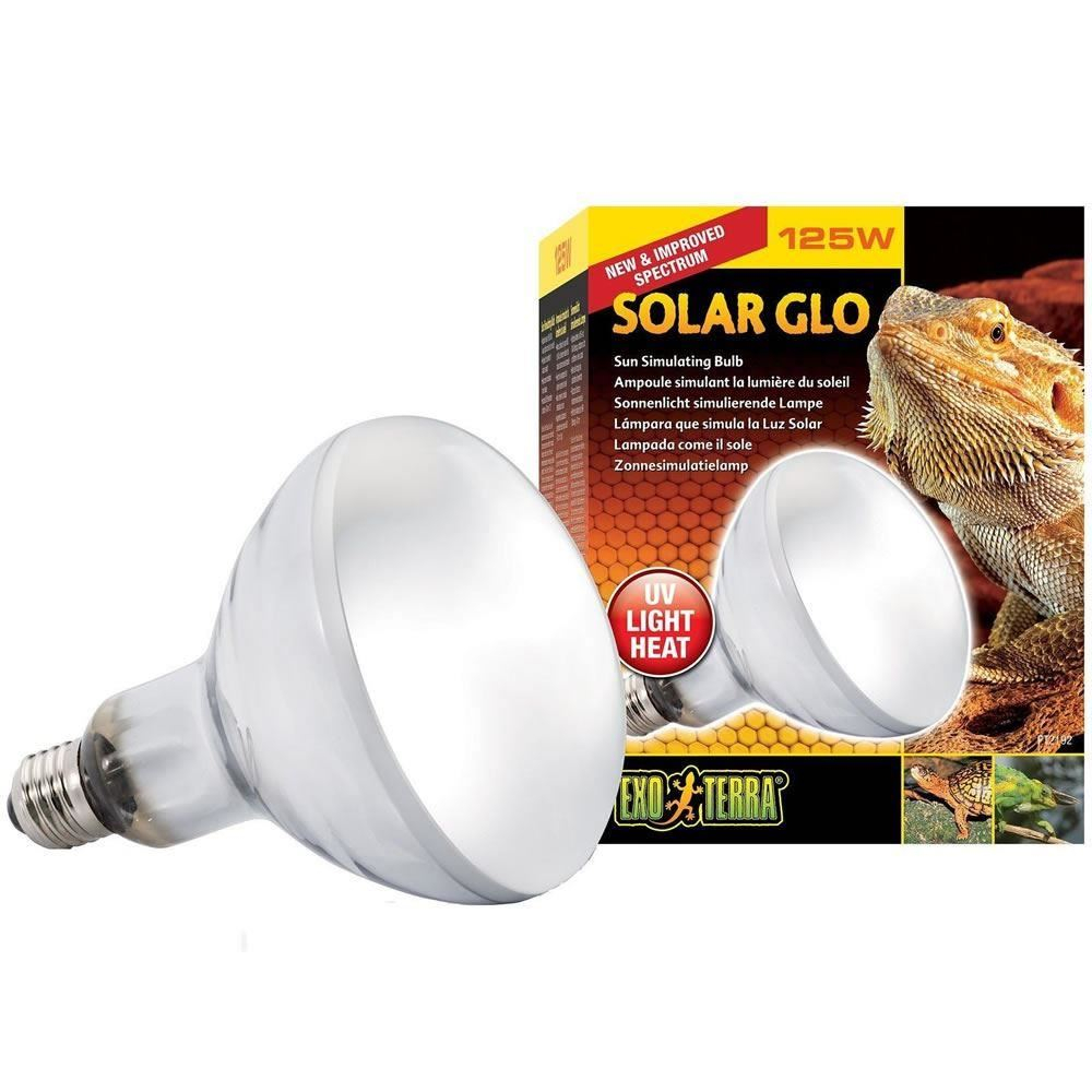 Exo Terra Solar Glo Reptile Heat Lamp Uva Uvb Light All In 1 Bulb in dimensions 1000 X 1000