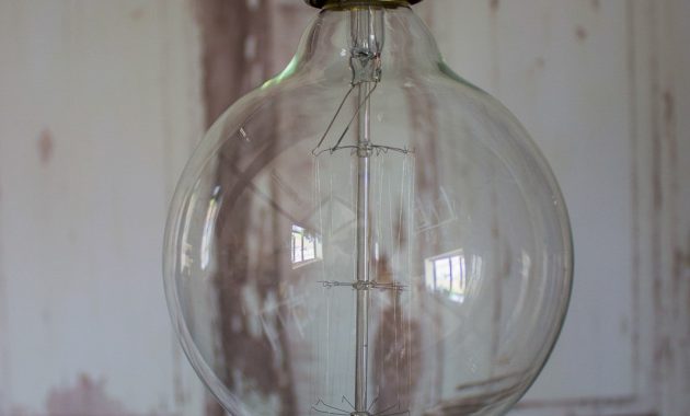 Extra Large Globe Squirrel Cage Filament Light Bulb regarding sizing 1067 X 1600