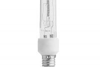 Feit Electric 100 Watt Mini Candelabra Base T4 Halogen Light Bulb with sizing 900 X 900