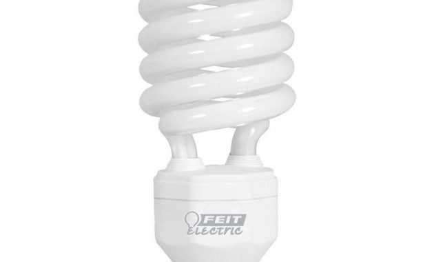 Feit Electric 150 Watt Equivalent Daylight 6500k Spiral Cfl Light intended for dimensions 1000 X 1000