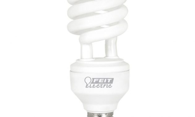 Feit Electric 3070100w Equivalent Daylight 6500k Spiral 3 Way pertaining to sizing 1000 X 1000