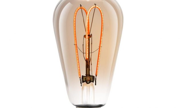 Feit Electric 40w Equivalent Soft White 2000k St19 Dimmable M Type intended for proportions 1000 X 1000