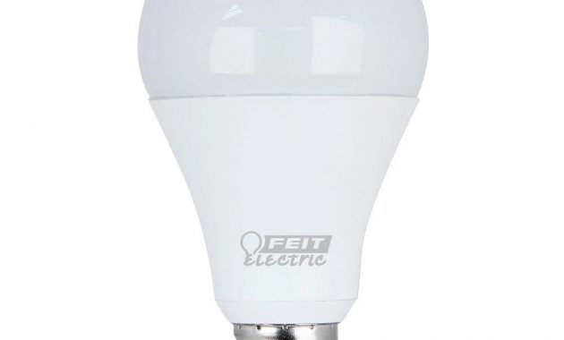 Feit Electric 50100150w Equivalent Daylight 5000k A21 Led 3 Way regarding dimensions 1000 X 1000