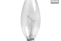 Feit Electric 60 Watt Soft White St19 Incandescent Original inside dimensions 1000 X 1000