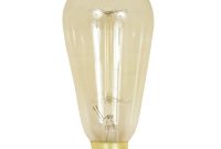 Feit Electric 60 Watt Soft White St19 Incandescent Original Vintage in sizing 1000 X 1000