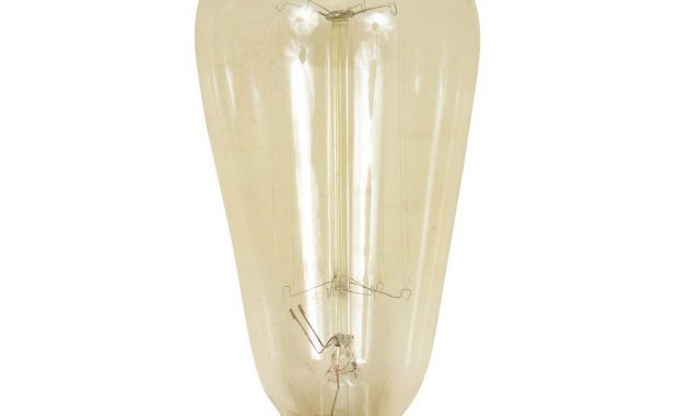 Feit Electric 60 Watt Soft White St19 Incandescent Original Vintage in sizing 1000 X 1000