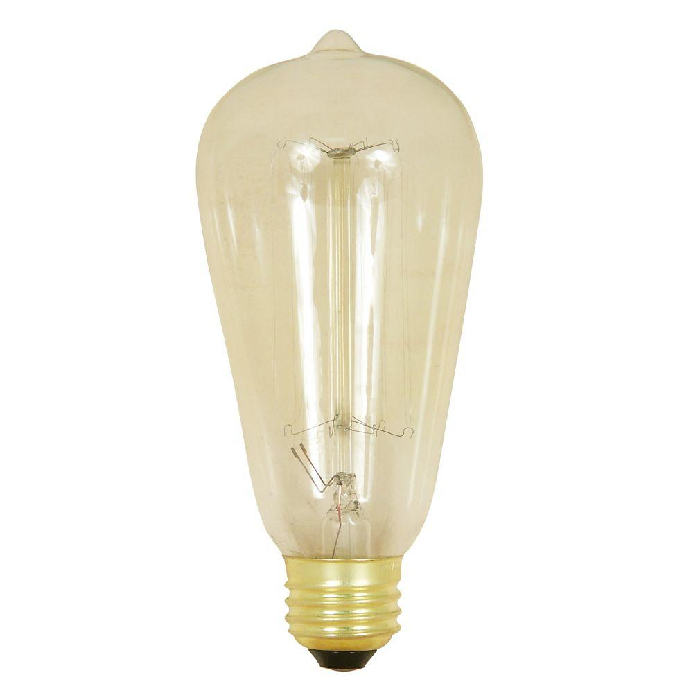 Feit Electric 60 Watt Soft White St19 Incandescent Original Vintage in sizing 1000 X 1000