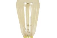 Feit Electric 60 Watt Soft White St19 Incandescent Original Vintage within proportions 1000 X 1000