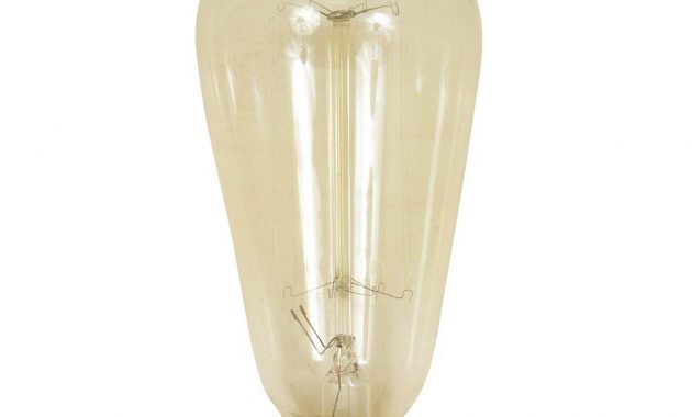 Feit Electric 60 Watt Soft White St19 Incandescent Original Vintage within proportions 1000 X 1000