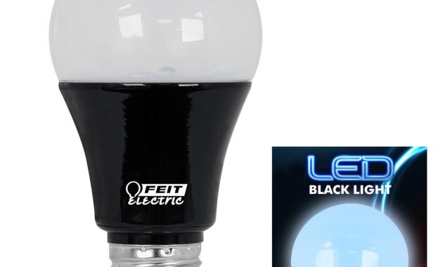 Feit Electric 60w Equivalent Black Light A19 Led Party Light Bulb throughout measurements 1000 X 1000