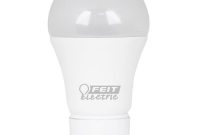 Feit Electric 60w Equivalent Daylight 5000k A19 Gu24 Dimmable Led in sizing 1000 X 1000