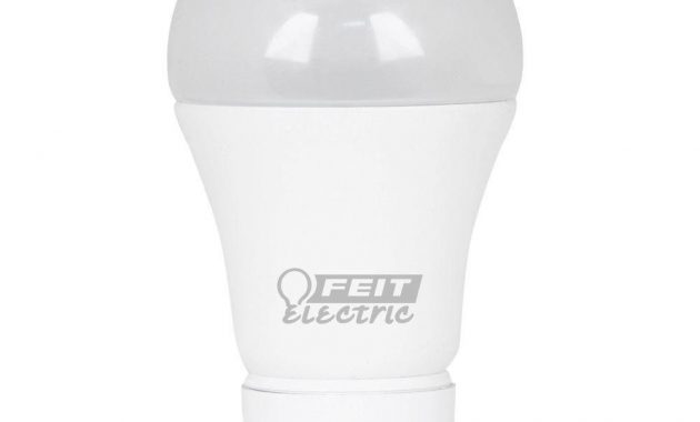 Feit Electric 60w Equivalent Daylight 5000k A19 Gu24 Dimmable Led in sizing 1000 X 1000