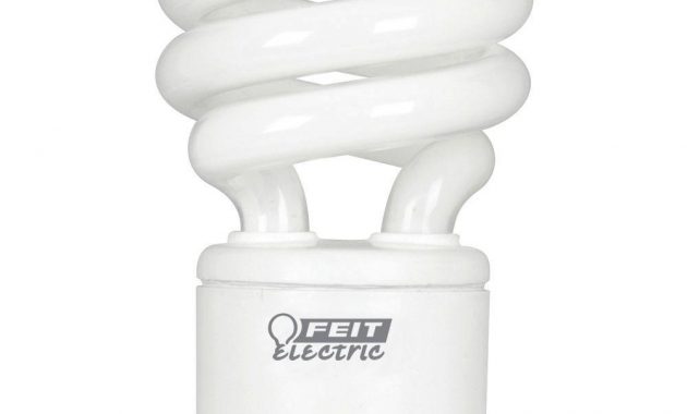 Feit Electric 60w Equivalent Daylight 5000k Spiral Gu24 Cfl Light for measurements 1000 X 1000