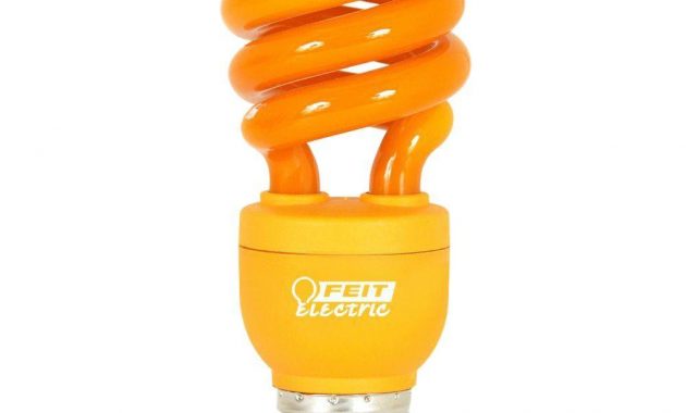 Feit Electric 60w Equivalent Orange Colored Spiral Cfl Light Bulb regarding dimensions 1000 X 1000