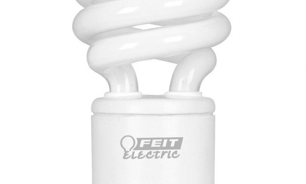 Feit Electric 60w Equivalent Soft White 2700k Gu24 Spiral Cfl throughout sizing 1000 X 1000