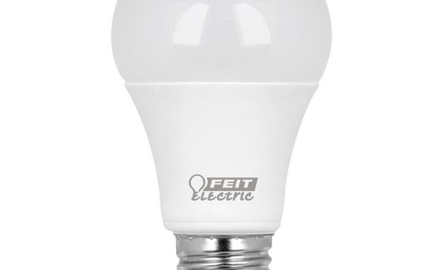 Feit Electric 60w Equivalent Warm White 3000k A19 Led 12 Volt Rv for sizing 1000 X 1000