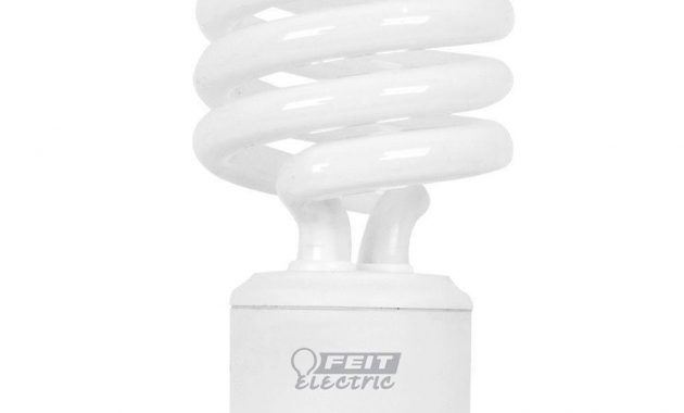 Feit Electric 75w Equivalent Soft White 2700k Spiral Gu24 Cfl for dimensions 1000 X 1000