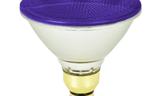 Feit Electric 90 Watt Purple Colored Par38 Dimmable Halogen Light in proportions 1000 X 1000