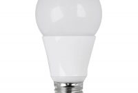 Feit Electric 95 Watt 60w Equivalent Medium Base A19 3000k Led with sizing 900 X 900