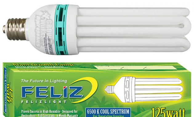 Feliz 125 Watt Blue 6500k Compact Fluorescent Grow Lamp intended for size 900 X 900